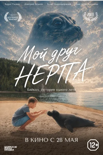 Мой друг нерпа